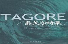泰戈尔经典诗歌全集假如时光
