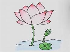 画出一朵漂亮美丽的花